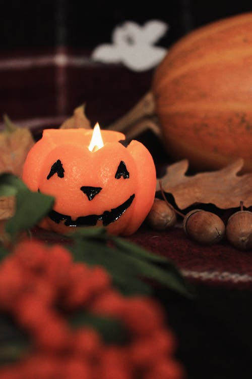 Halloween Jack O Lantern Photo