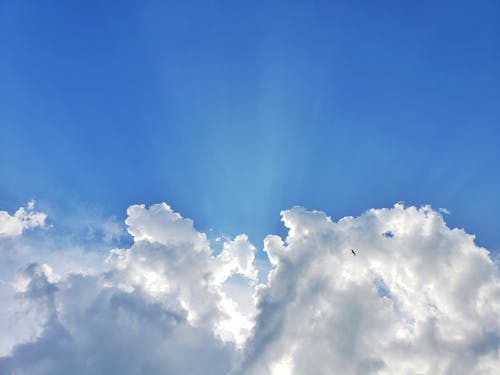 Photograph of White Clouds in a Blue Sky