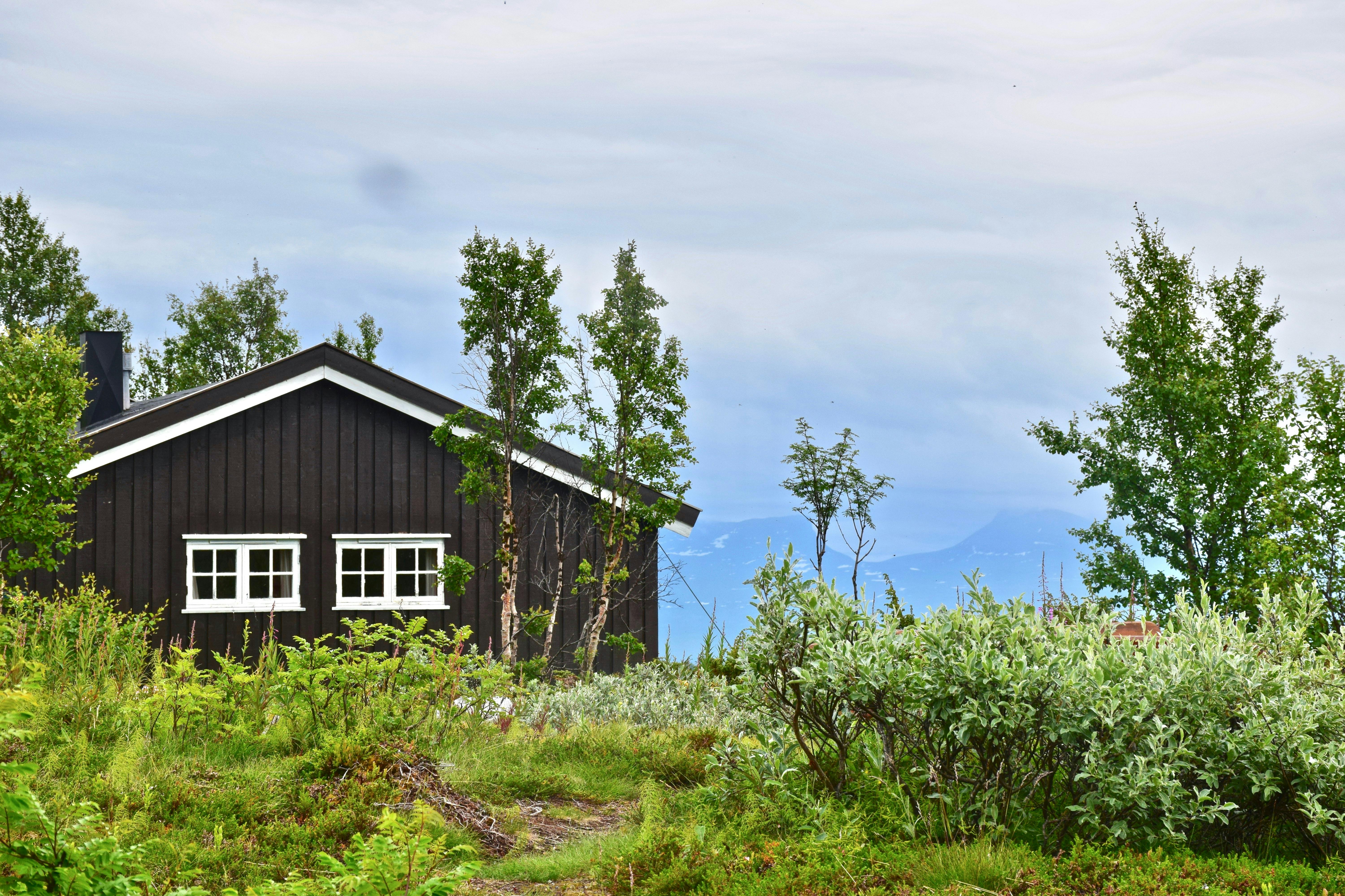 Chalet typique norvégien