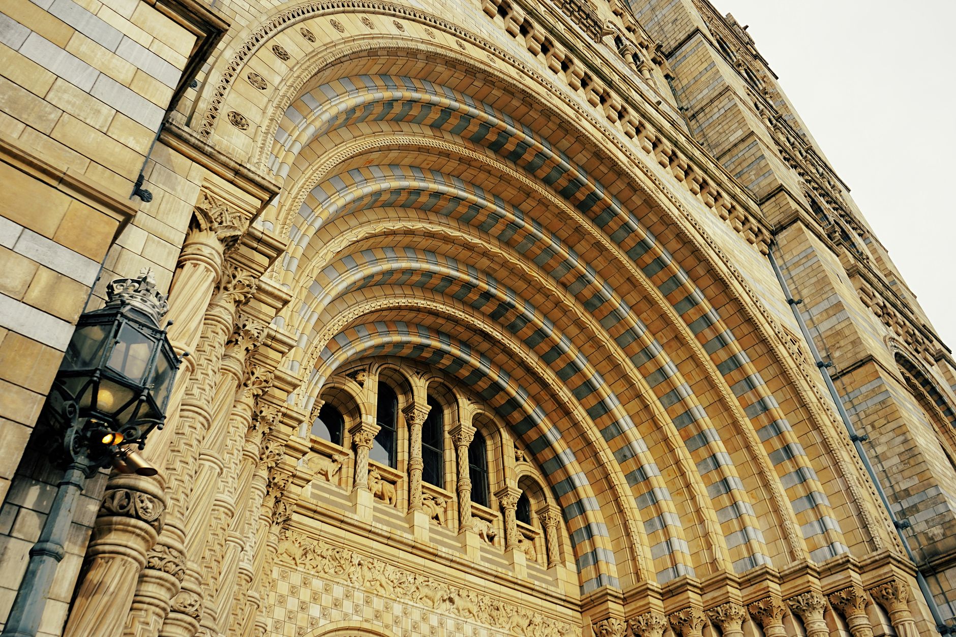 Londra'daki Doğa Tarihi Müzesi'nin tarihi galerisi