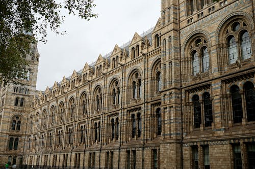 Free Photograph of the Exterior of the Natural History Museum Stock Photo