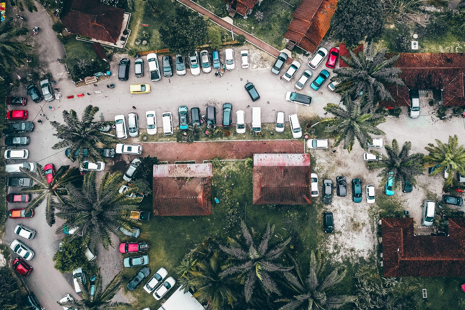 Drone view of various cars parked on road near palms and residential houses in tropical town in daytime