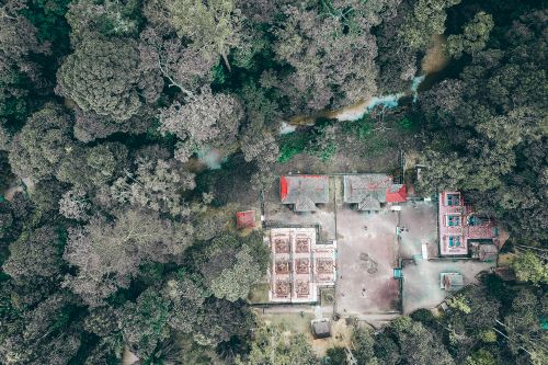 Free Drone view of small typical cottages surrounded by green trees growing in lush forest Stock Photo