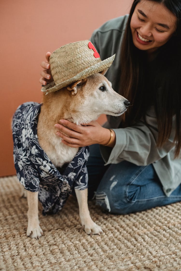 Smiling Ethnic Woman Putting Outfit On Fluffy Dog