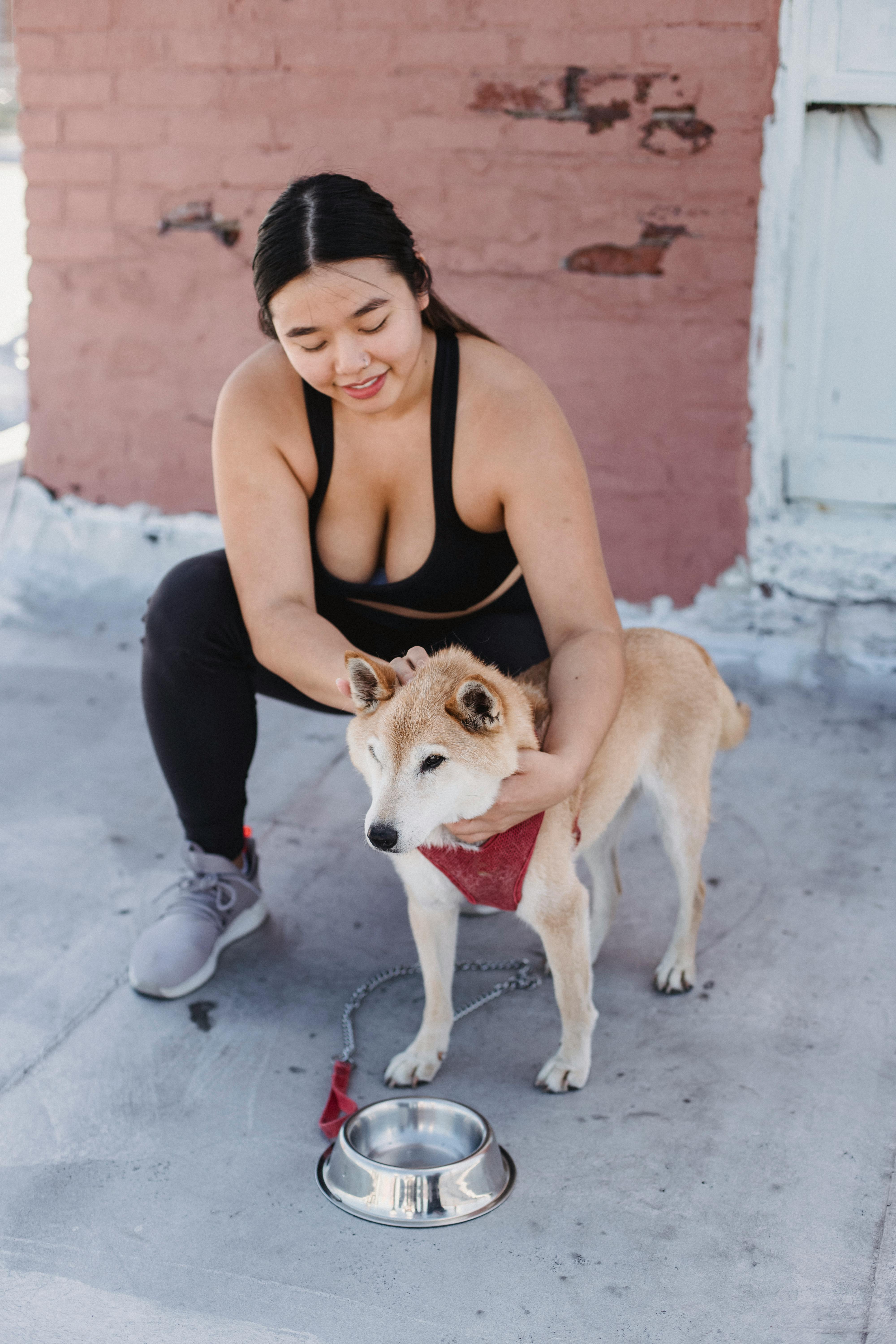 High angle full body of Asian female owner stroking cute dog standing near bowl