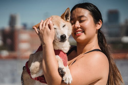 Free Smiling ethnic hugging dog in sunlight Stock Photo