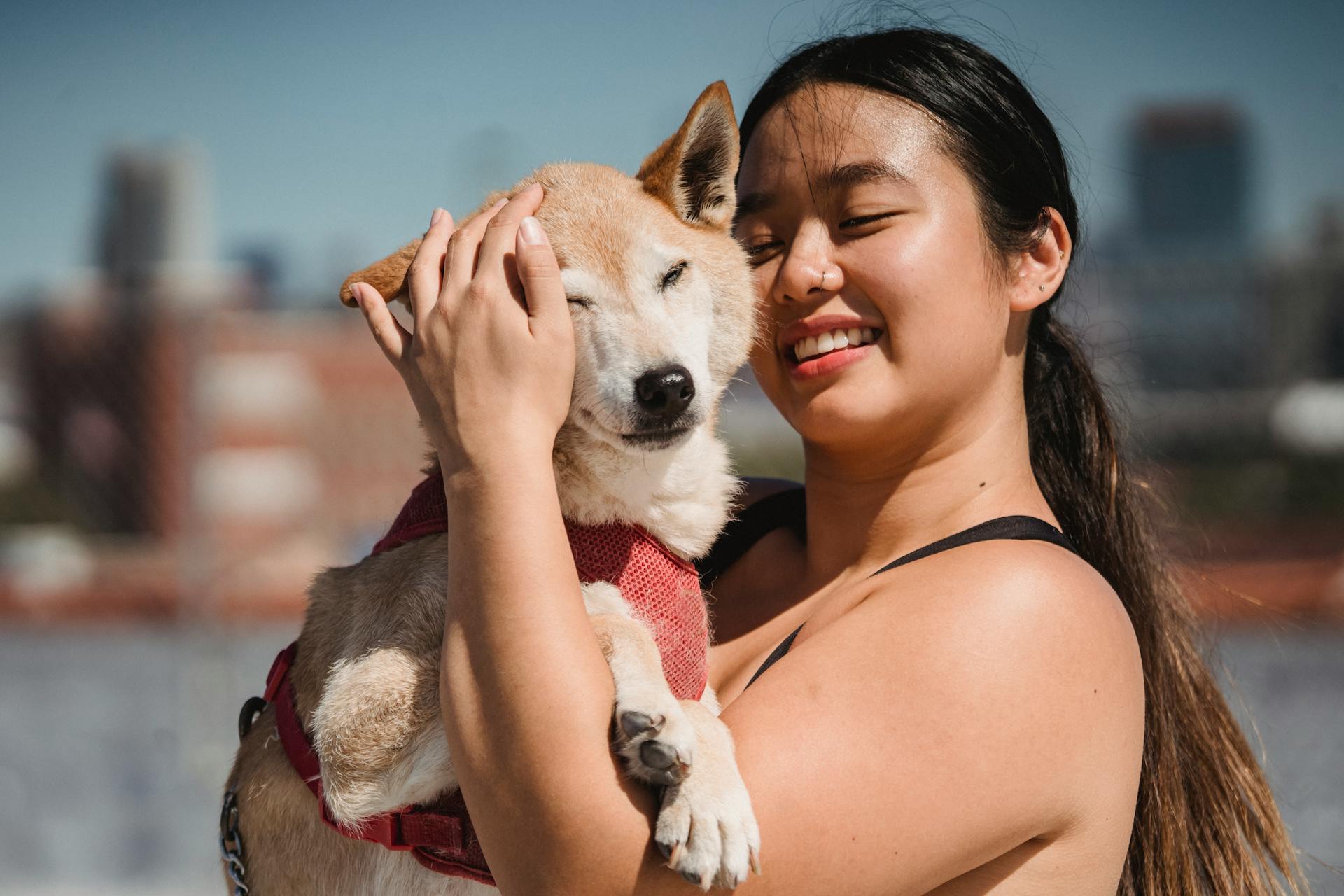 Smiling ethnic hugging dog in sunlight