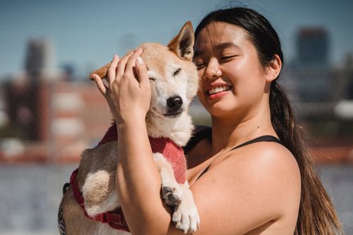 Free Cheerful Asian female owner embracing and petting fluffy cute dog while smiling brightly in sunny day Stock Photo