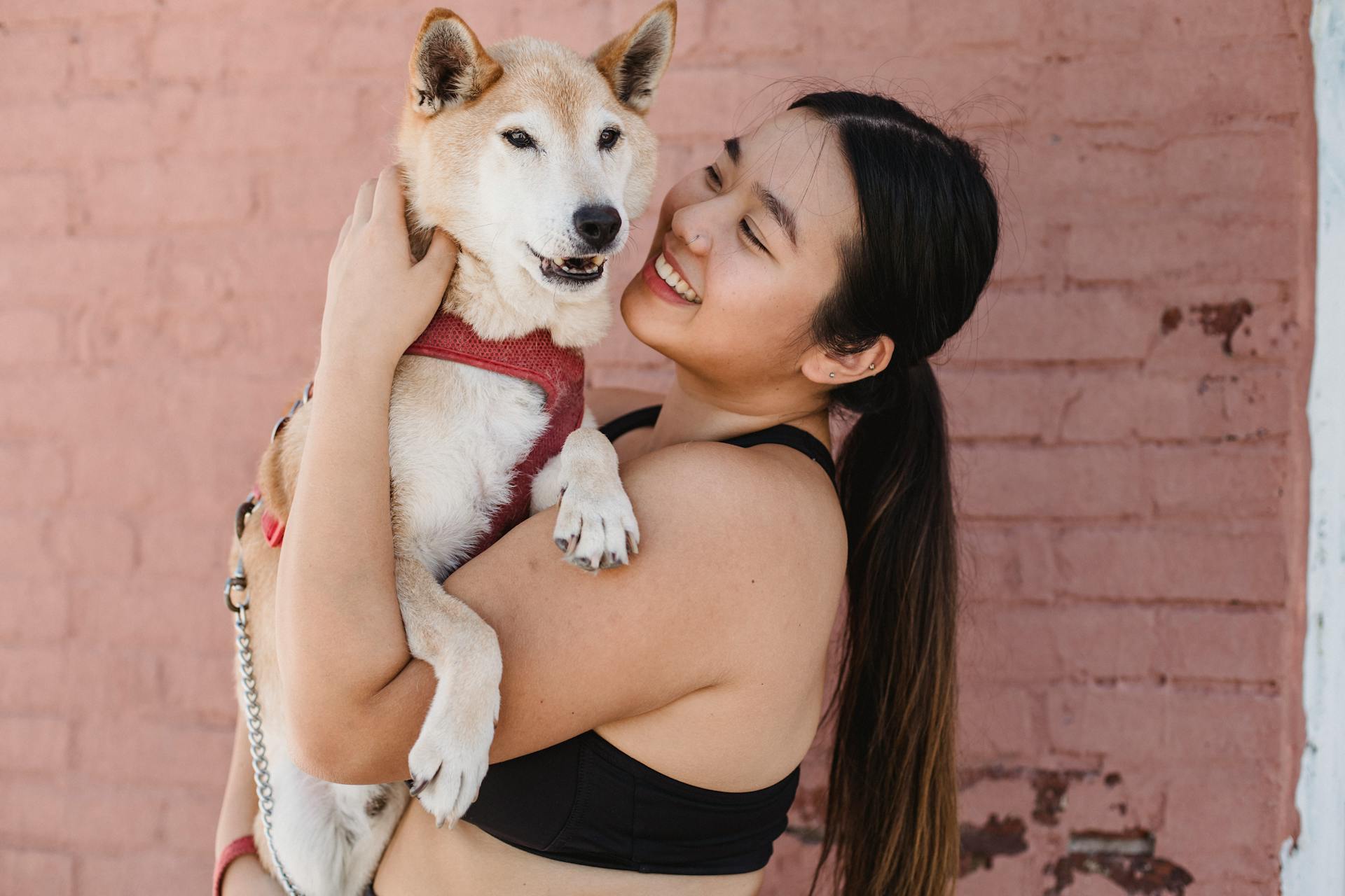 Side view of positive Asian female owner in sports bra hugging loyal dog with collar