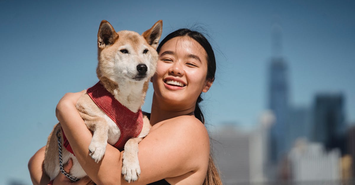 Happy ethnic female demonstrating cute funny dog and smiling on blurred background of city