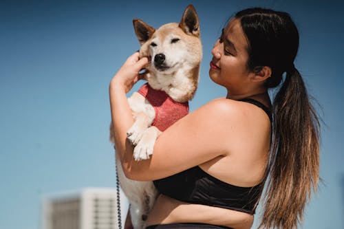 幸福的亚洲超重女人抚摸可爱的柴犬