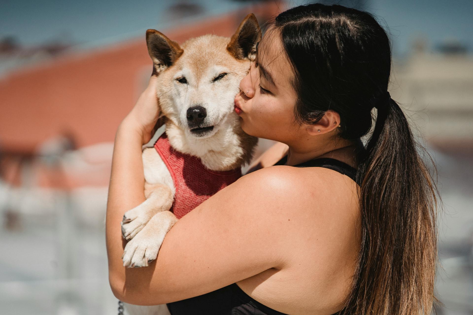 Glad ethnic female kissing and hugging fluffy funny cute dog on blurred background