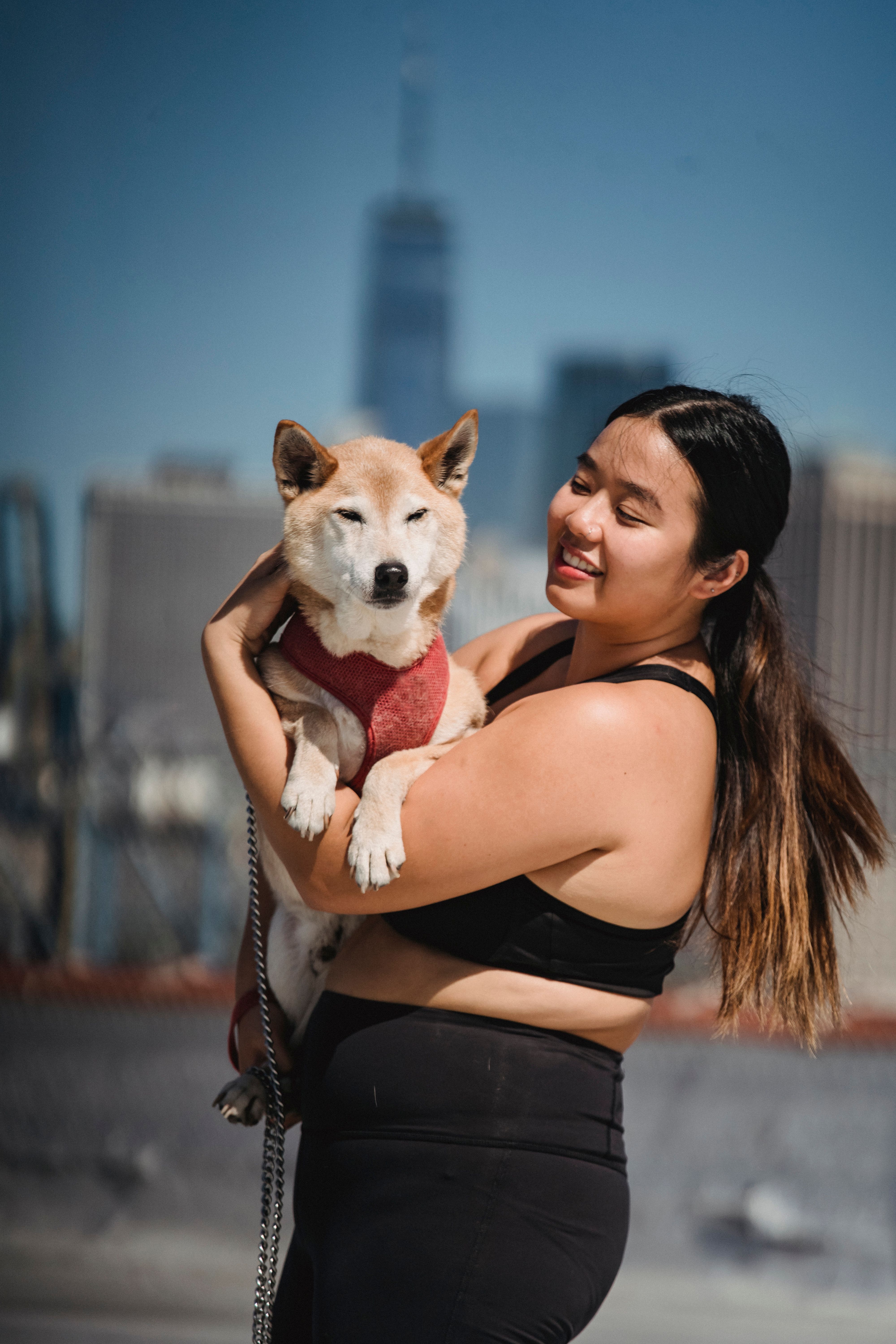 阳光明媚的日子里，一位微笑的女人抱着她的柴犬，对着城市天际线