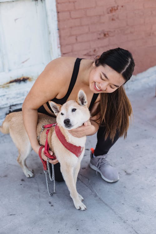 年輕快樂的亞裔女子，擁抱可愛的柴犬