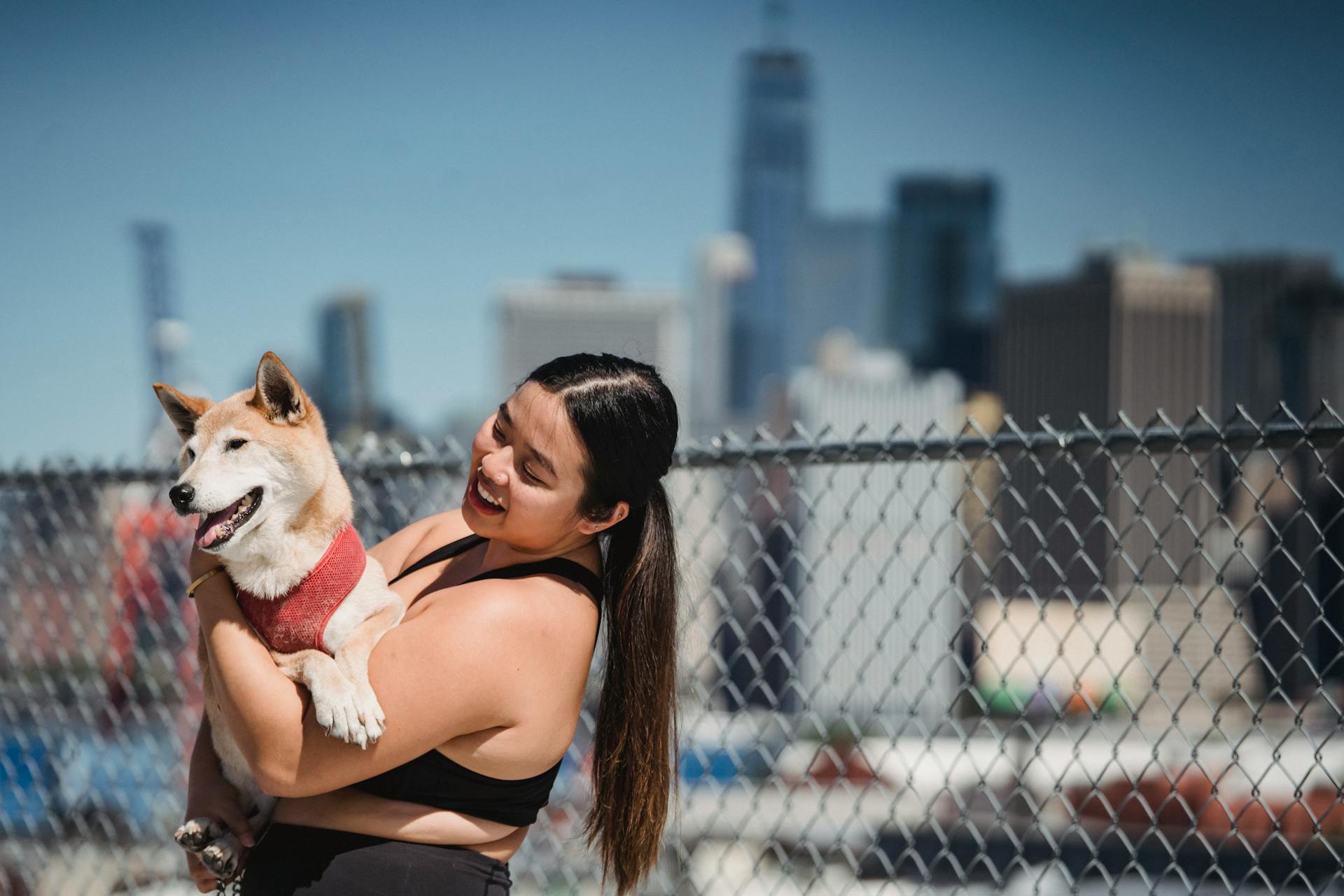 Side view of cheerful ethnic female hugging fluffy funny adorable dog near chain link fence on blurred background of skyscrapers