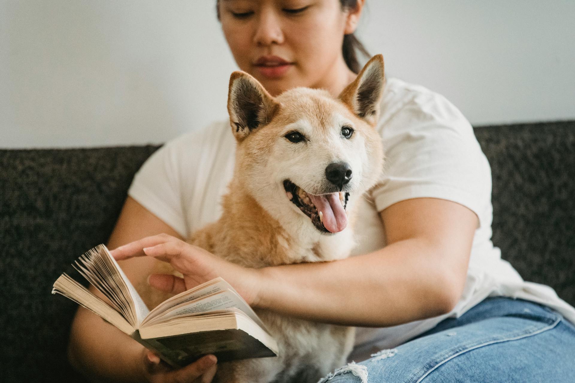 Fokuserad asiatisk kvinna med Shiba inu läser bok