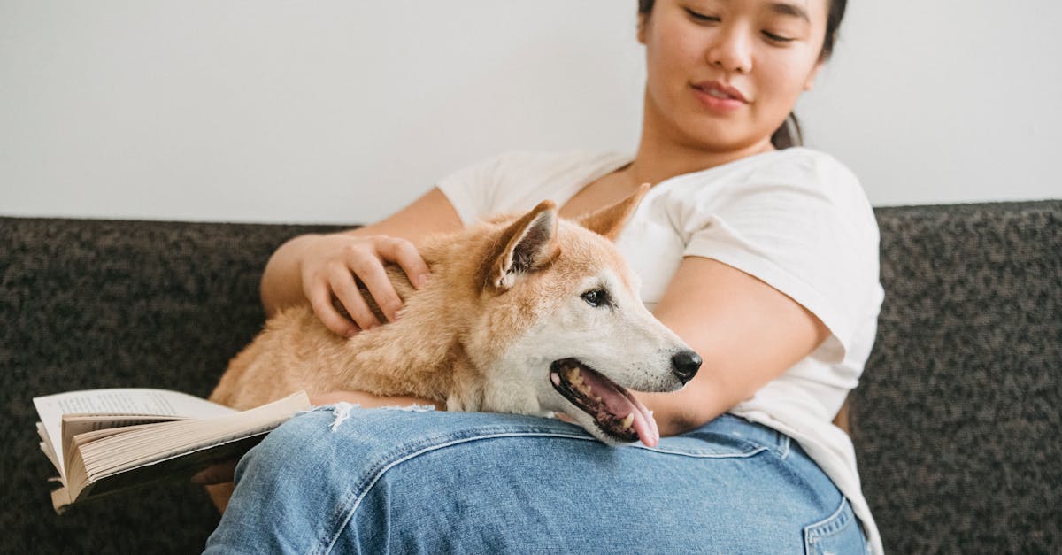 Happy ethnic female with cute funny dog and book sitting on cozy sofa
