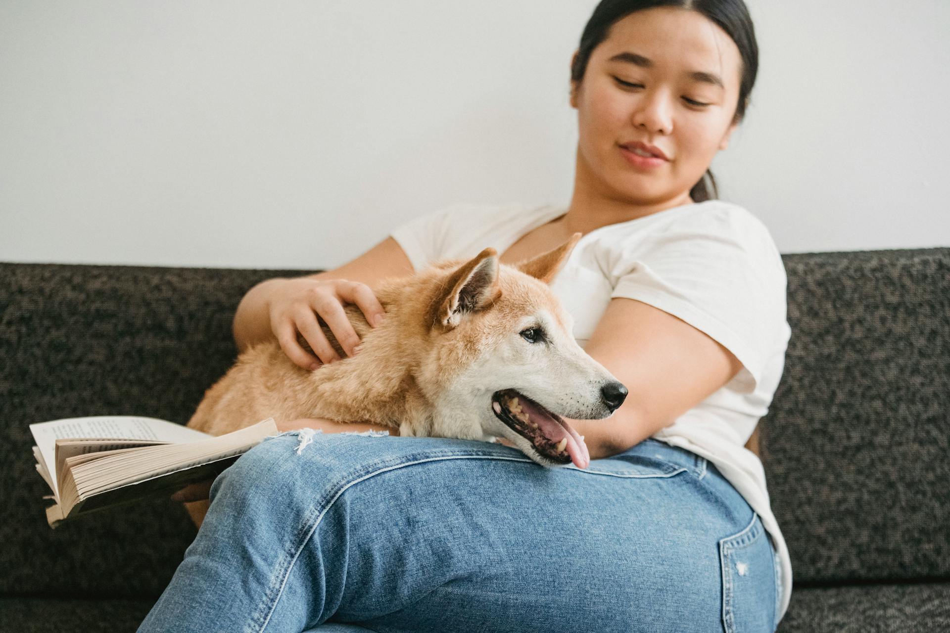 Happy ethnic female with cute funny dog and book sitting on cozy sofa