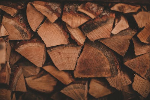 Free Pile of dry firewood with rough surface Stock Photo