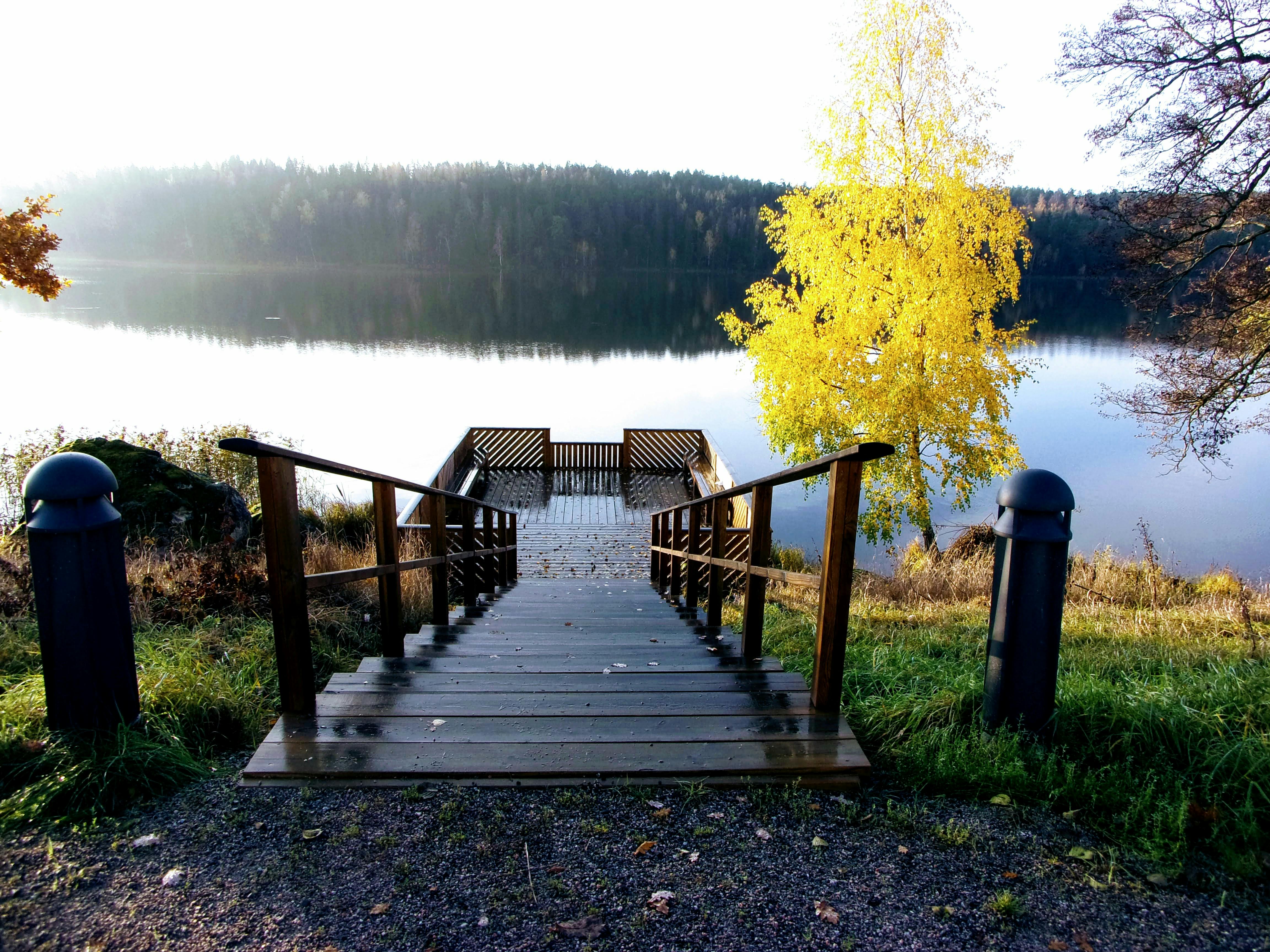 tangan memegang beberapa butir nasi