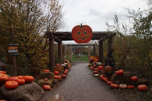 Entrance to the Farm Decorated with Pumpkins 