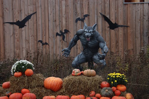 Kostnadsfri bild av bakgrund, dekorationer, halloween