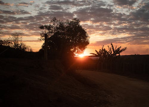 Безкоштовне стокове фото на тему «дерева, ефектне небо, Захід сонця»