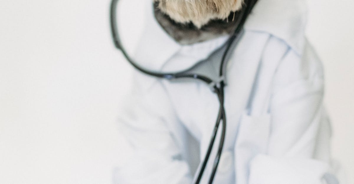 香港都會大學李嘉誠進修學院參訪大仁科技大學 攜手打造寵物照護專業研習營