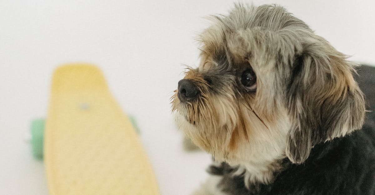 公益彩券《善良一點一點》首映 🎬✨