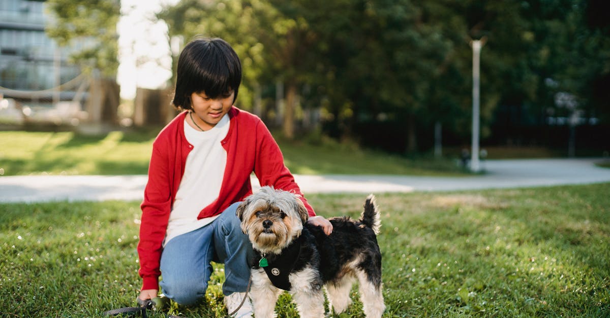 Little girl spending time with dog outside