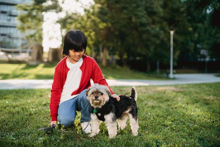 Little Girl Spending Time With Dog Outside