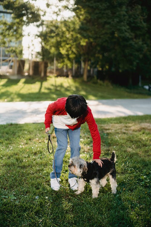 Full body little girl wearing casual outfit walking on green grass outside with dog in summer sunny day