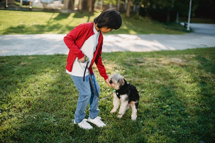 Child In Park Spending Time With Dog