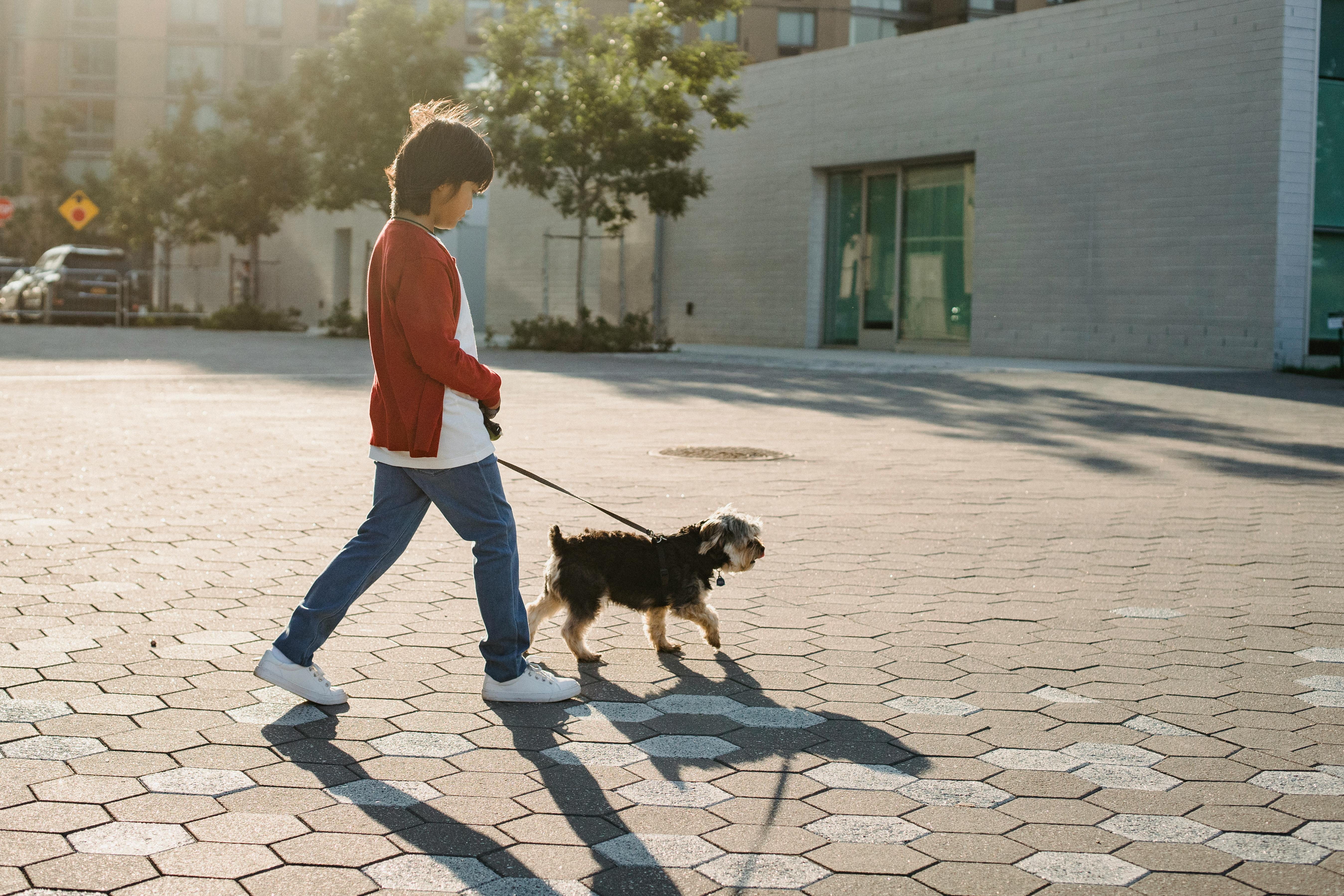 A boy and his dog walking in the street. | Photo: Pexels