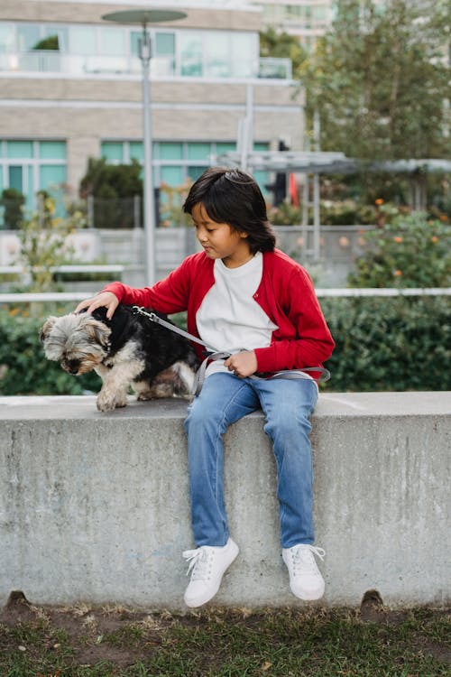 Asian child in casual apparel caressing small purebred dog on leash against urban building