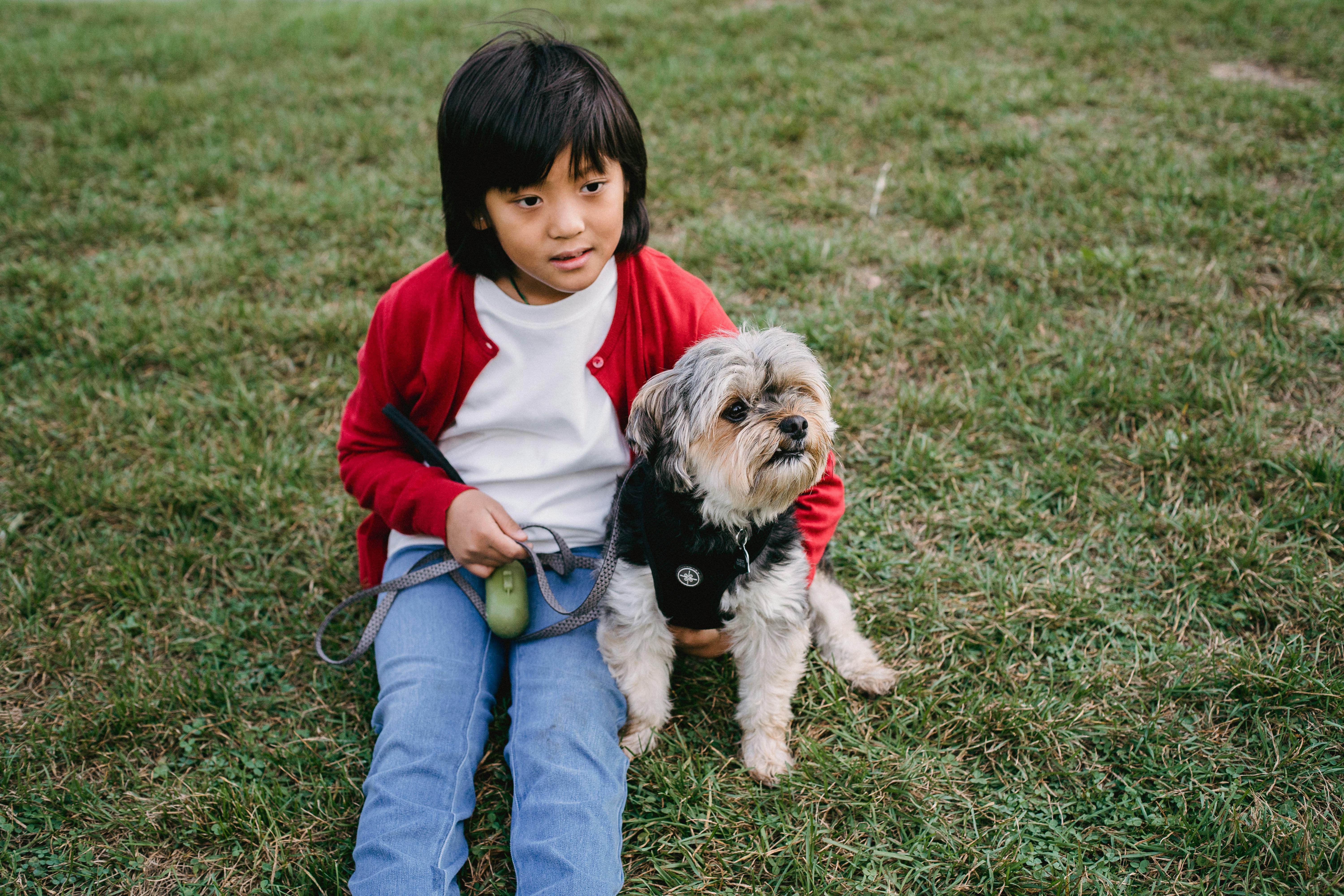 asian boy embracing yorkshire terrier on lawn