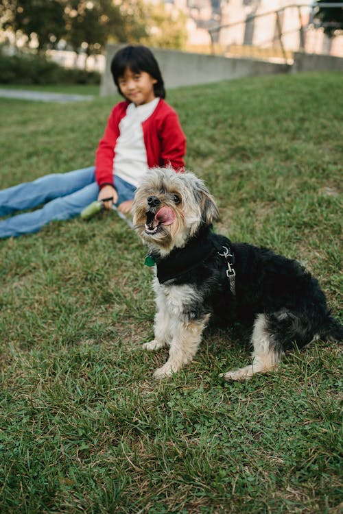 Playful dog with Asian boy resting on lawn