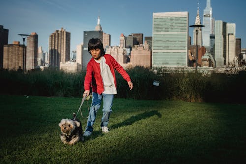Ethnic child with Yorkshire Terrier on leash preparing to run on meadow against urban skyscrapers