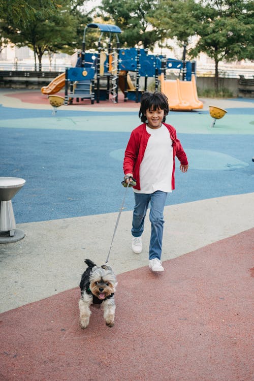 Smiling Asian boy walking with Yorkshire Terrier on play ground