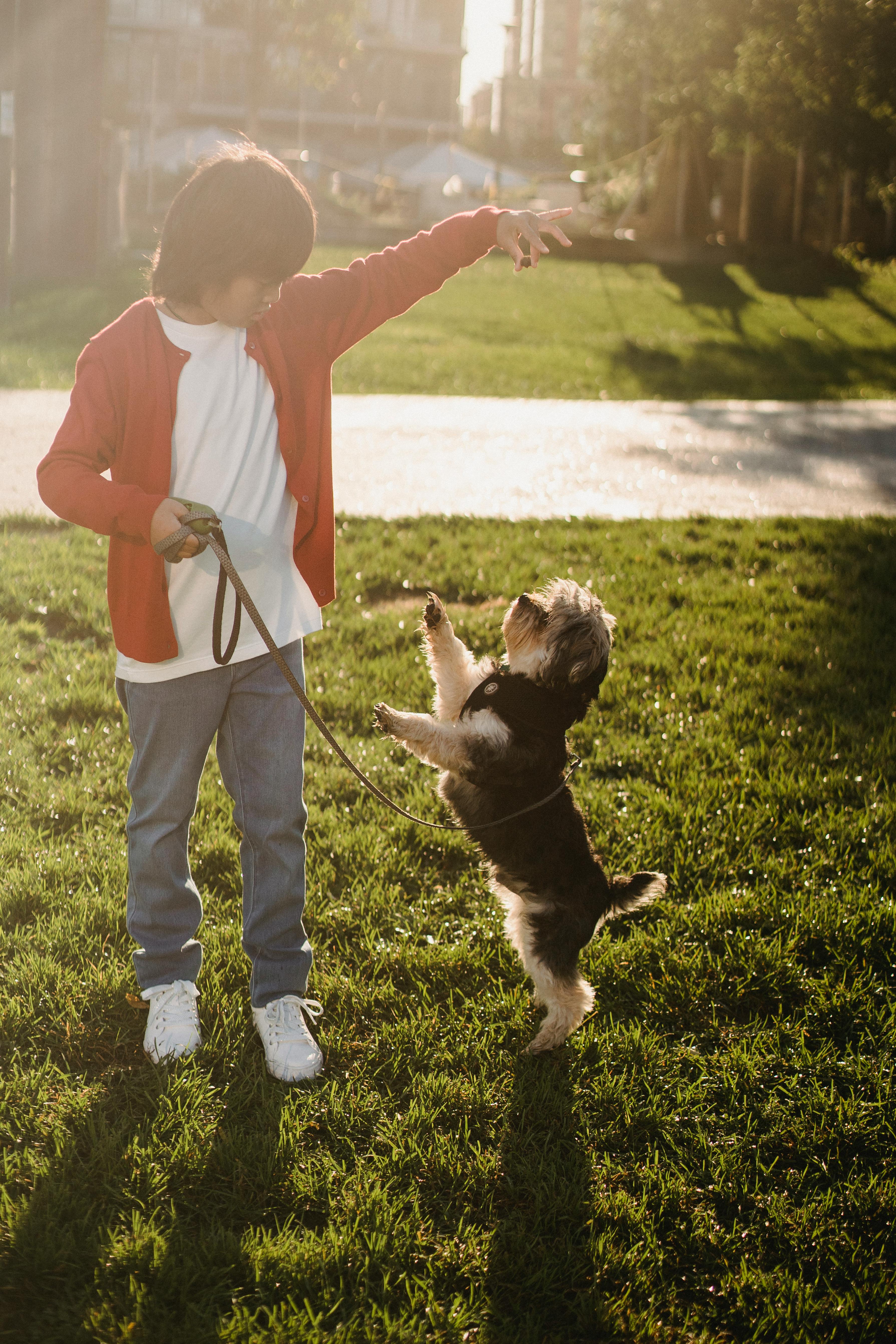 anonymous asian kid showing command to dog while training outdoors