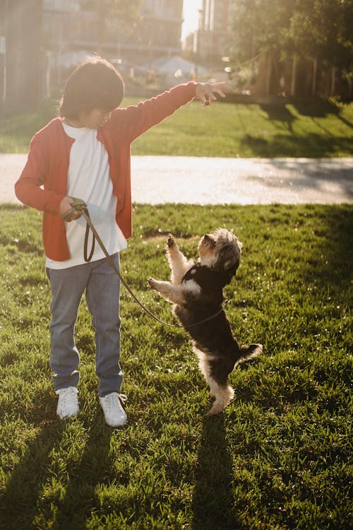 Anonymous Asian kid showing command to dog while training outdoors