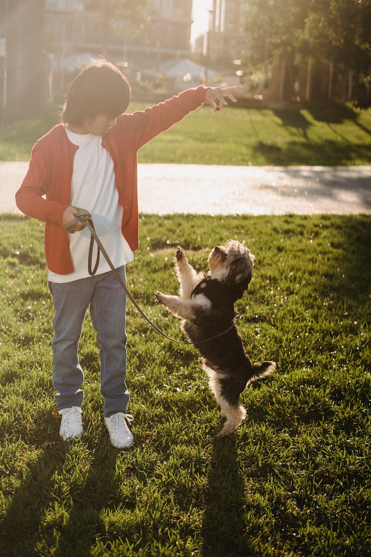 Anonymous Asian Kid Showing Command To Dog While Training Outdoors