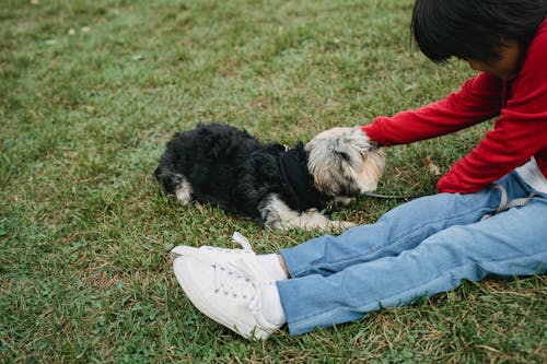 High angle of crop ethnic kid in casual outfit stroking Yorkshire Terrier while resting on lawn