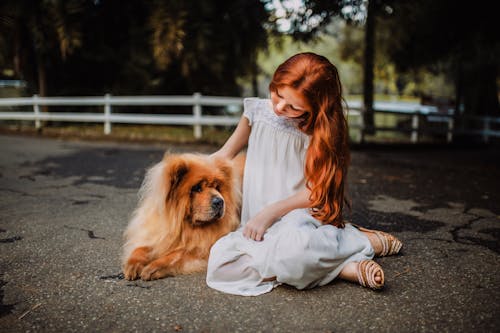 Free Woman Sitting Beside Chow Chow on Gray Concrete Stock Photo