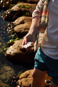 A person holding a seashell while standing on a rocky seashore under sunlight.