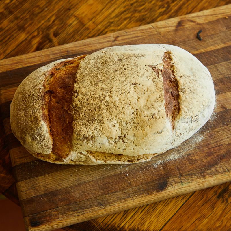 Sourdough Whole Wheat Batton