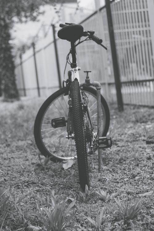 Free A black and white photo of a bike parked on a grassy area by a fence in Pretoria. Stock Photo