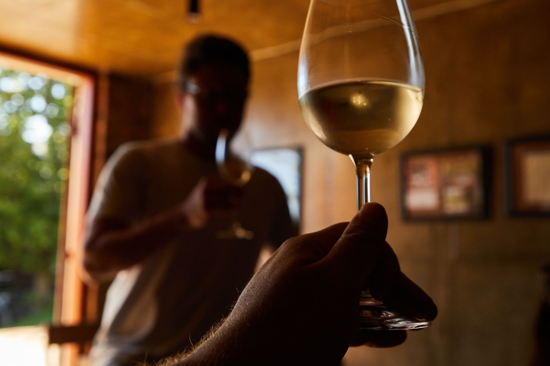 Two adults enjoying white wine in a cozy indoor setting, emphasizing relaxation and leisure.
