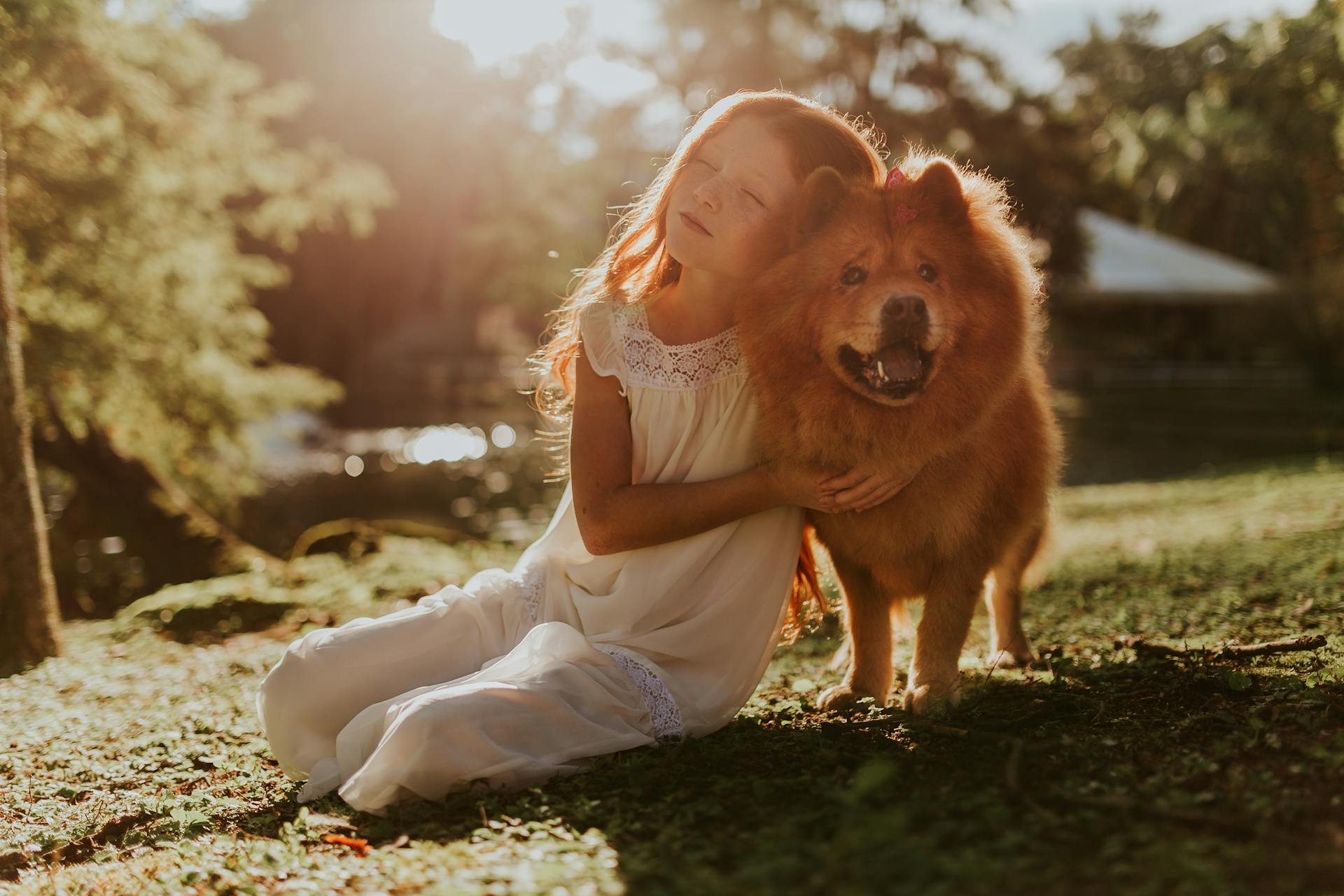 Une fille embrassant un adulte Chow Chow Assise sur un champ d'herbe