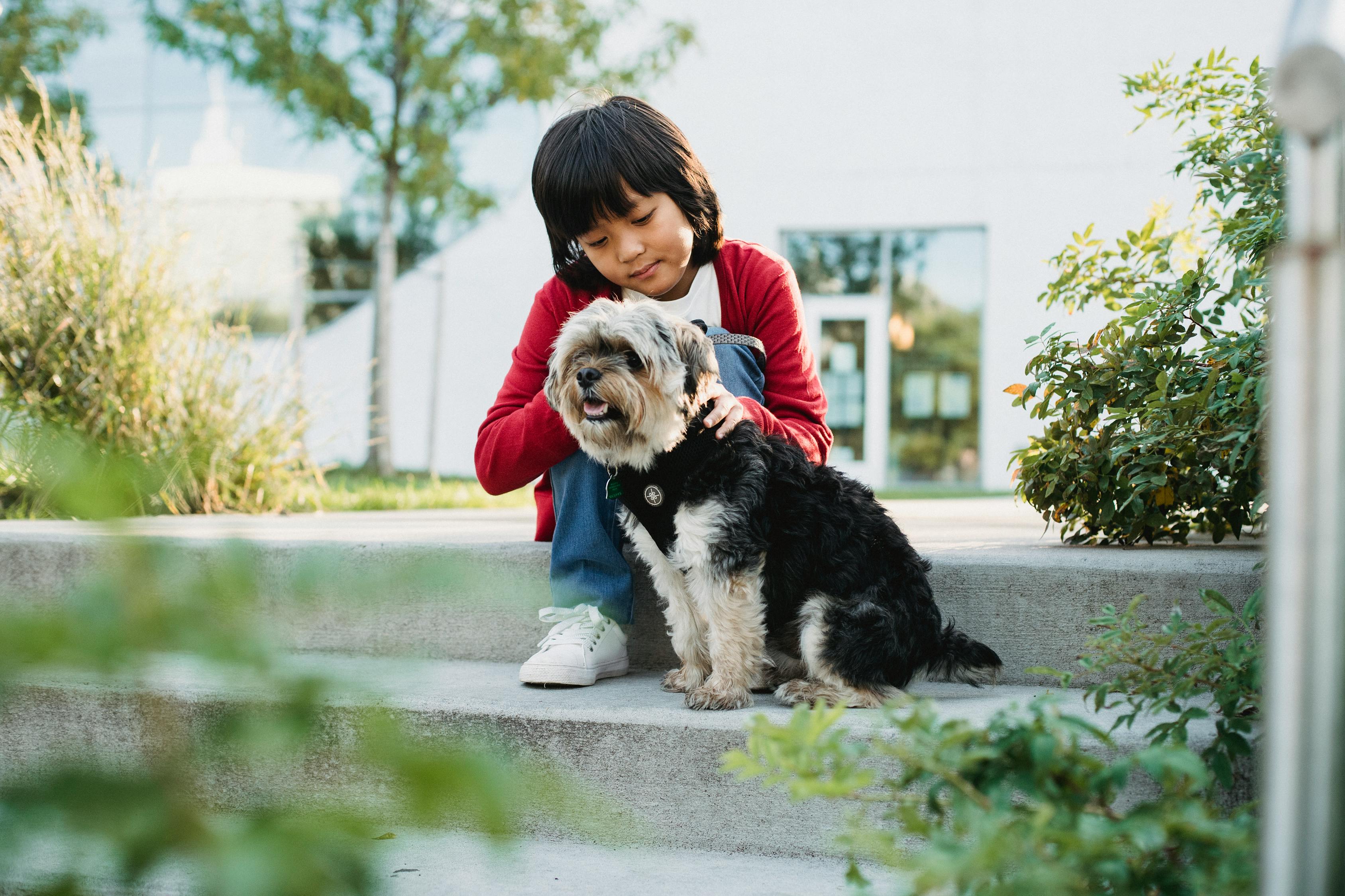 A Child Showing Love And Affection To A Dog